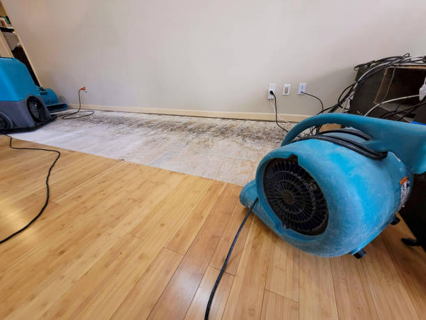 Professional Basement Flood Cleanup technician working in Belvidere, TN